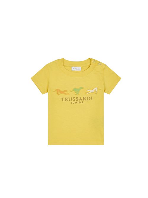  TRUSSARDI | TIP25020TSGOCR